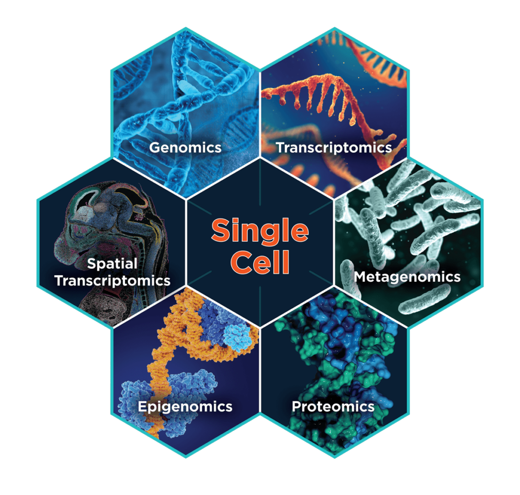 Mirxes | Single Cell Capabilities